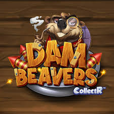Dam Beavers