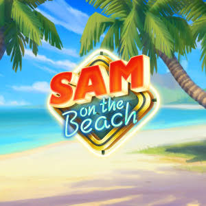 Sam on the Beach